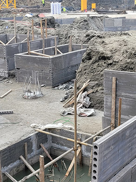 愛(ài)莎國(guó)際學校(xiào)